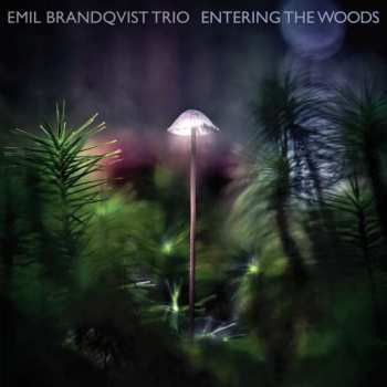 LP Emil Brandqvist Trio: Entering The Woods