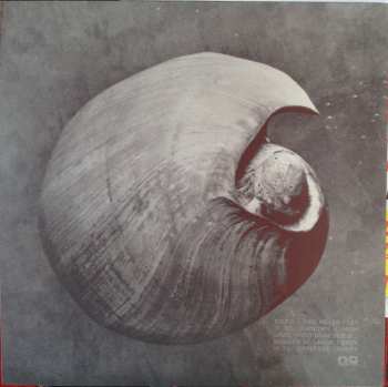 LP Endless Boogie: Vibe Killer