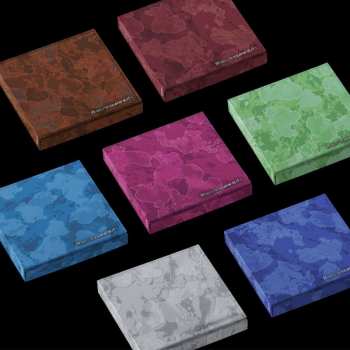 Album Enhypen: The Sin: Vanish