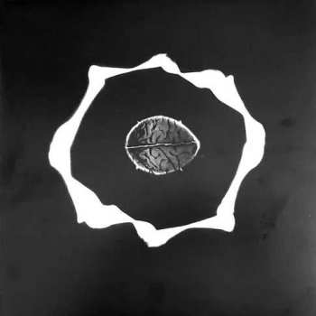 LP Epidermis: Genius Of Original Force LTD | NUM