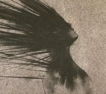 Erlen Meyer: Erlen Meyer