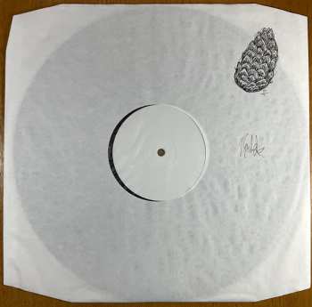 LP Esben And The Witch: Hold Sacred CLR