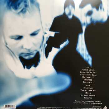 LP Evanescence: Fallen