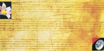 CD Everything but the Girl: The Language Of Life