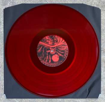 LP Excel: Seeking Refuge