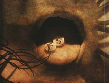 CD F5: A Drug For All Seasons