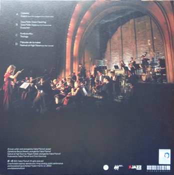 2LP Fabia Mantwill Orchestra: Em.Perience