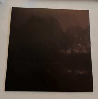 LP Falkevik: New Constellations