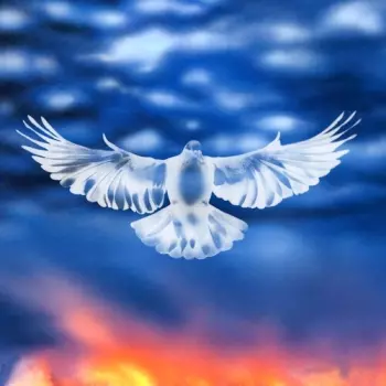 FaltyDL: Mission Barnhus