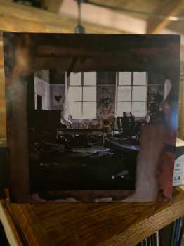 Album Steel Tipped Dove: Decay