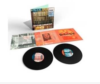 2LP Fatboy Slim: You've Come A Long Way Baby