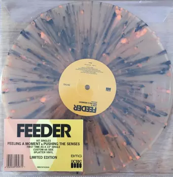 Feeder: Feeling A Moment & Pushing The Senses