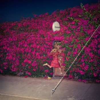 2LP Feist: Pleasure