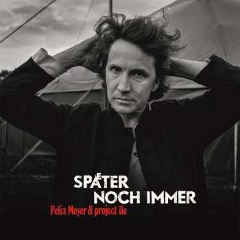 LP Felix Meyer & Project Île: Später Noch Immer