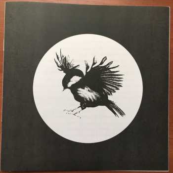 SP Fifteen: Fifteen.