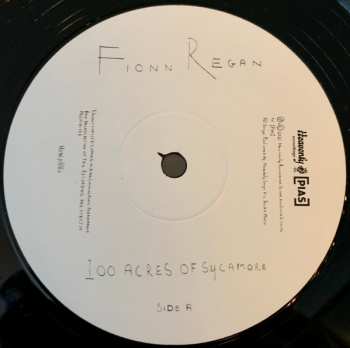 LP Fionn Regan: 100 Acres Of Sycamore LTD