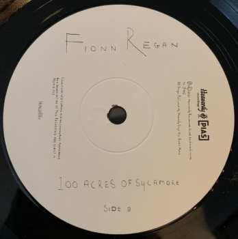 LP Fionn Regan: 100 Acres Of Sycamore LTD
