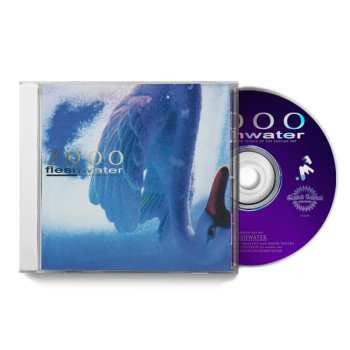 CD Fleshwater: 2000: In Search Of The Endless Sky