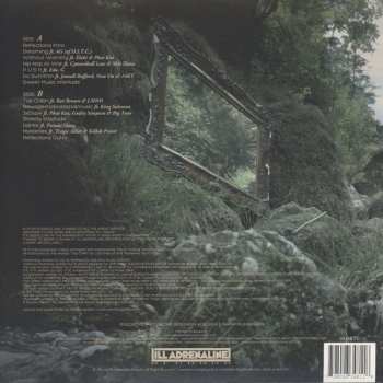 LP Flip: Reflections