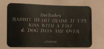 LP Florence And The Machine: Lungs