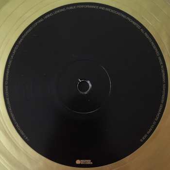 LP Foals: Life Is Dub CLR