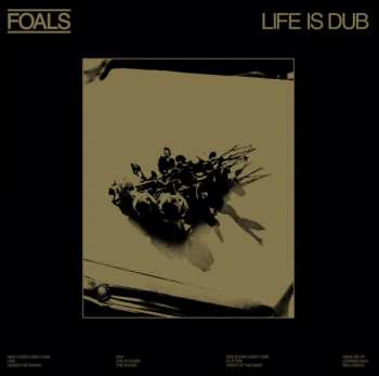 LP Foals: Life Is Dub CLR