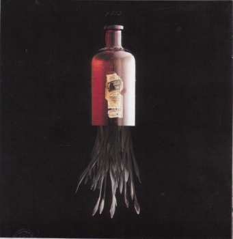 CD Foo Fighters: Echoes, Silence, Patience & Grace