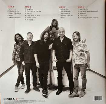 2LP Foo Fighters: The Essential