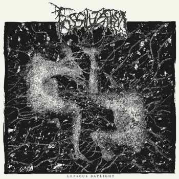 CD Fossilization: Leprous Daylight