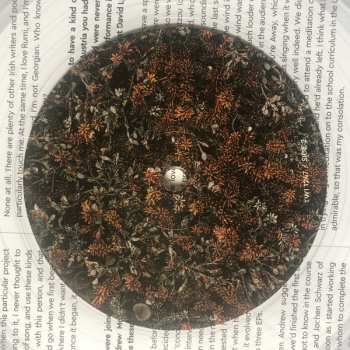 LP/CD Fovea Hex: The Salt Garden (Landscaped) CLR