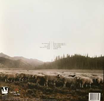 LP Foxing: The Albatross 