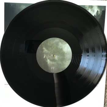 LP Foxing: The Albatross 