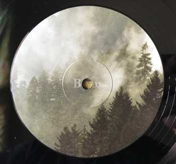 LP Foxing: The Albatross 