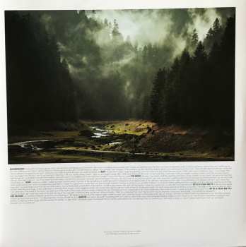 LP Foxing: The Albatross 