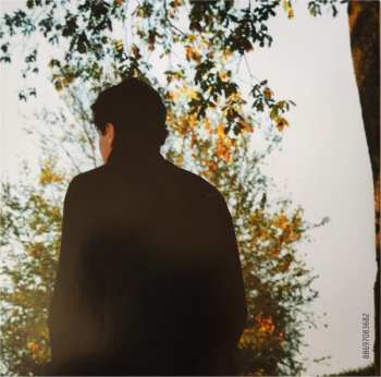 2CD Francis Cabrel: L'essentiel 1977-2007