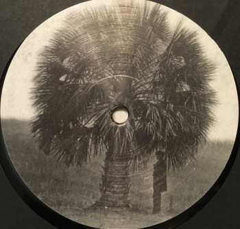 LP Frank and Tony: Under The Jaguar Sun