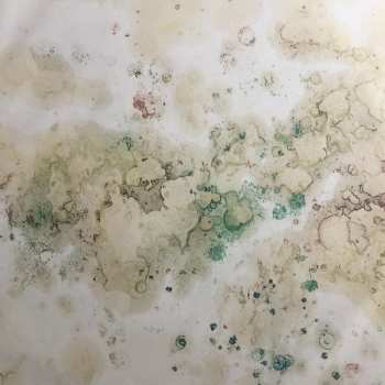 2LP Friends Of Gas: Kein Wetter LTD