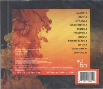 CD From Ashes To New: The Future