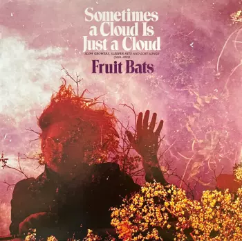 Sometimes A Cloud Is Just A Cloud: Slow Growers, Sleeper Hits, And Lost Songs (2001-2021)