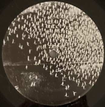 LP Futuro: Habitos Ruins