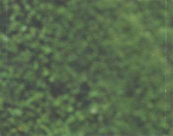 CD Gabriela Garrubo: Rodando