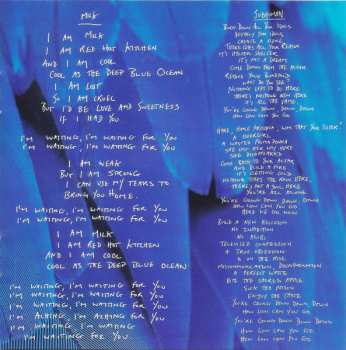 2CD Garbage: Garbage DLX