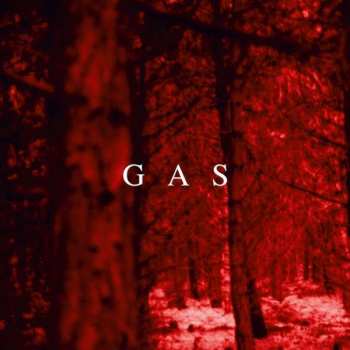 CD GÅS: Zauberberg