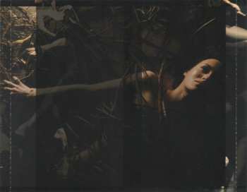 CD Gavin Bryars: Amjad