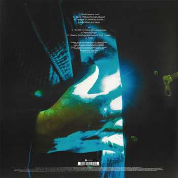 LP Gavin Harrison: Cheating The Polygraph