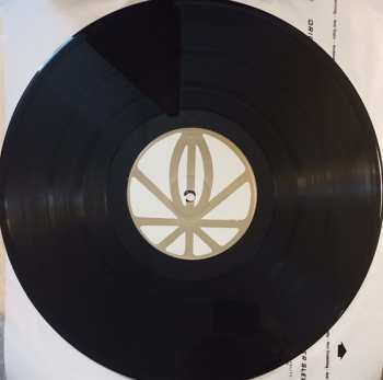 2LP Gayngs: Relayted