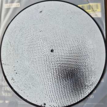 LP Gazzelle: Indi LTD | NUM | PIC