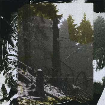 2CD Geist: Patina