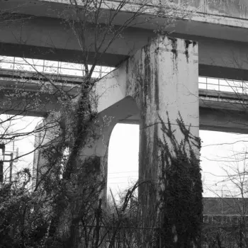 Gentleman Jesse: Lose Everything