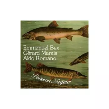 Emmanuel Bex: Poisson Nageur